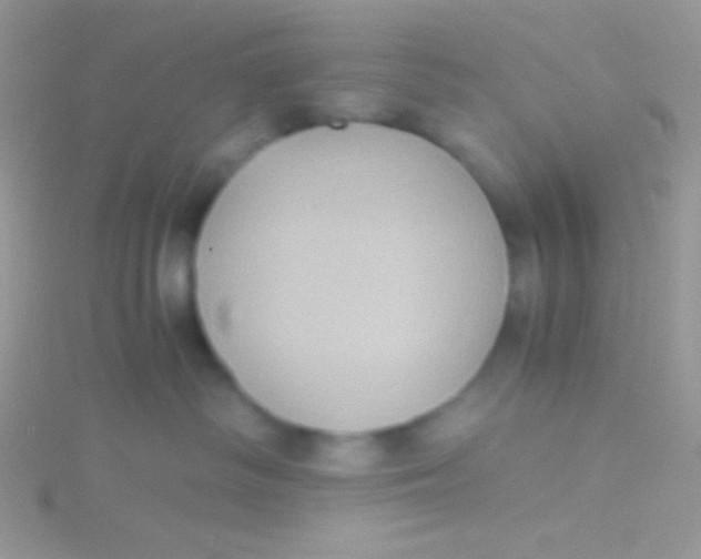 X0000115310334200911231335