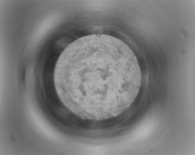 X0000115310335200911231335