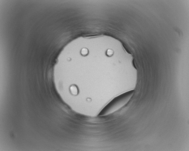 X0000115310336200911231335