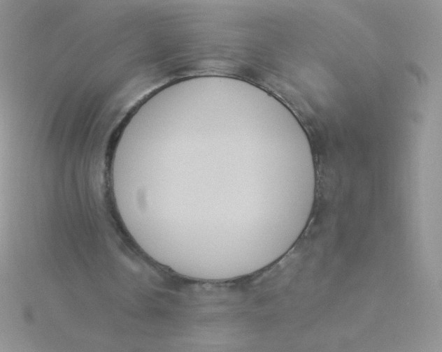 X0000115310338200911231334