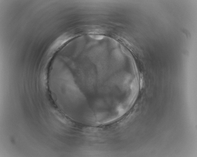 X0000115310339200911231334