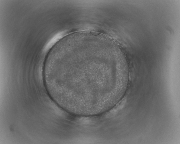 X0000115310341200911231334