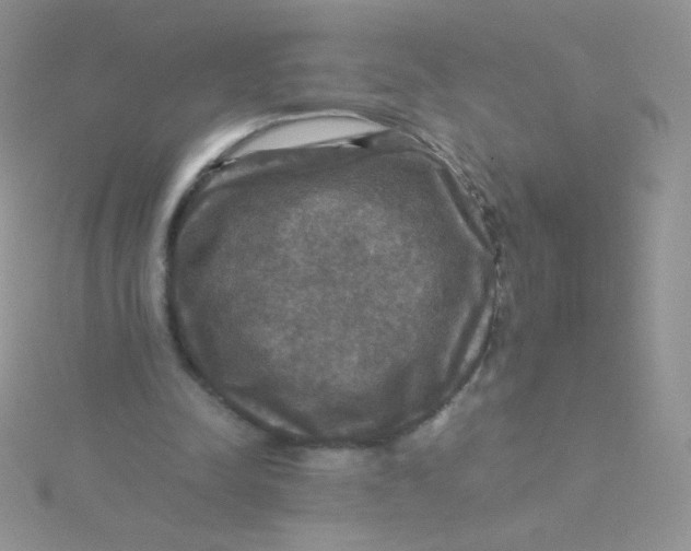 X0000115310342200911231334