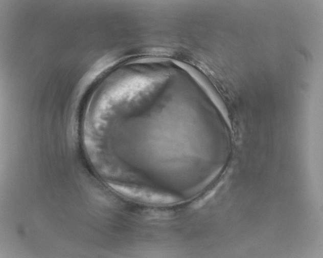 X0000115310343200911231334