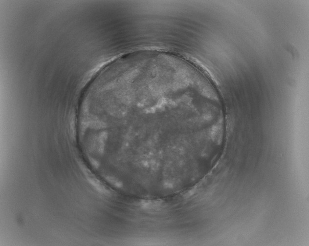 X0000115310345200911231334