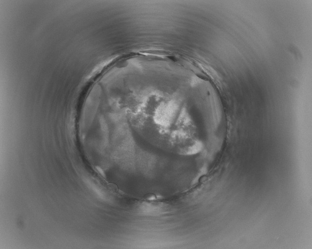 X0000115310346200911231334