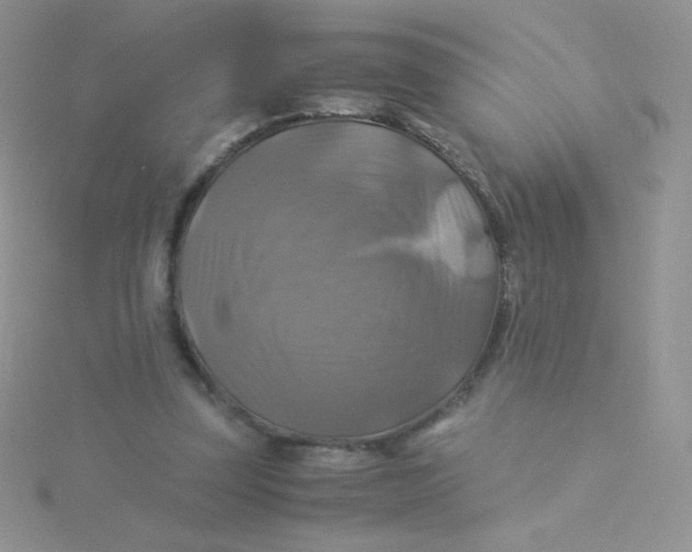 X0000115310347200911231334