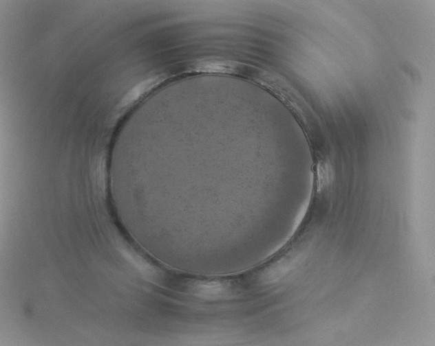 X0000115310349200911231334