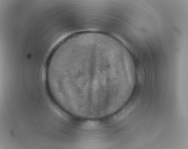 X0000115310350200911231334