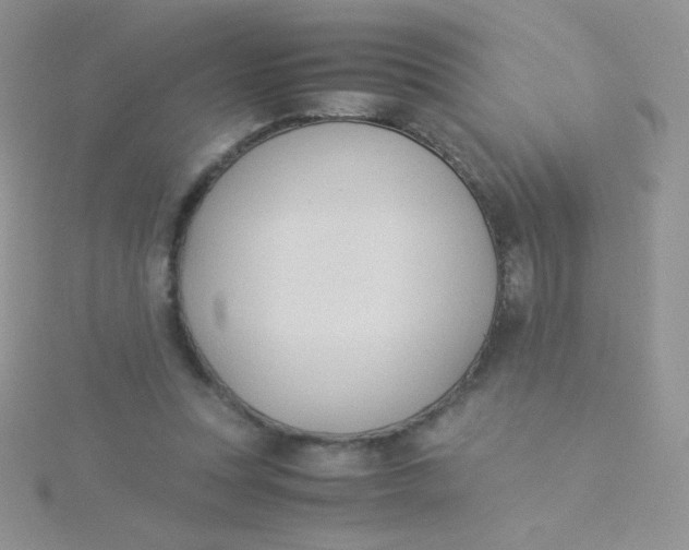 X0000115310351200911231334