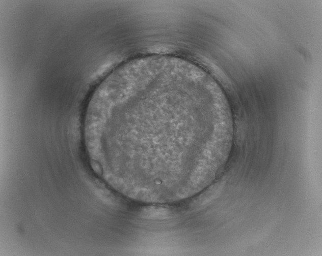 X0000115310354200911231334