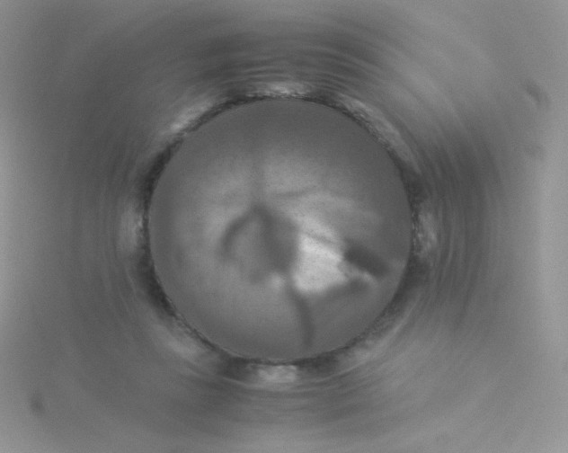 X0000115310355200911231334