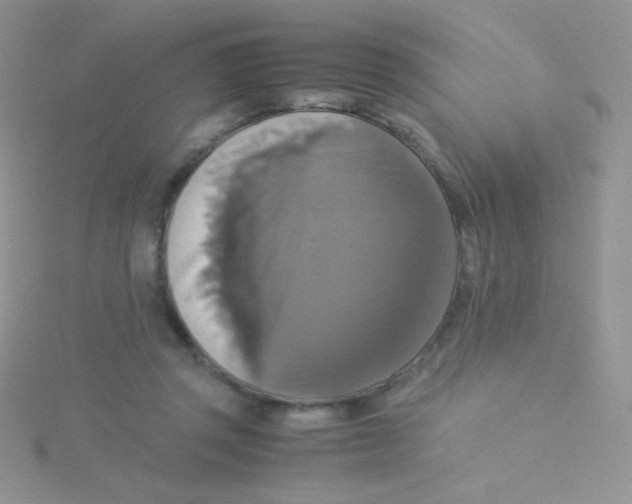 X0000115310357200911231334