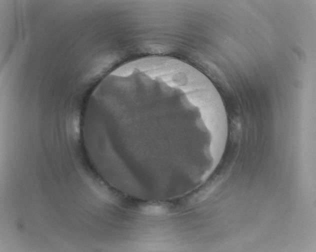 X0000115310358200911231334