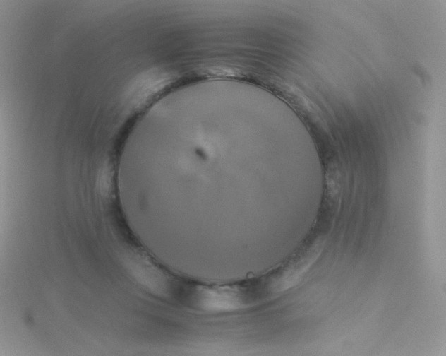 X0000115310359200911231334