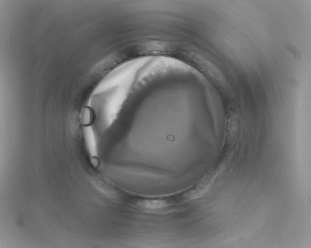 X0000115310361200911231334