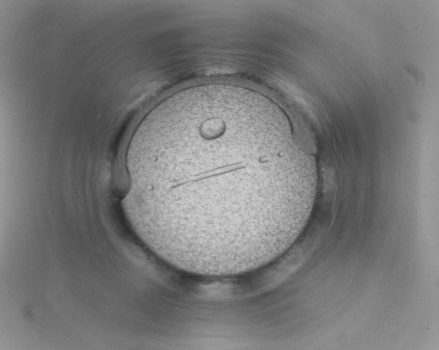 X0000115310362200911231334