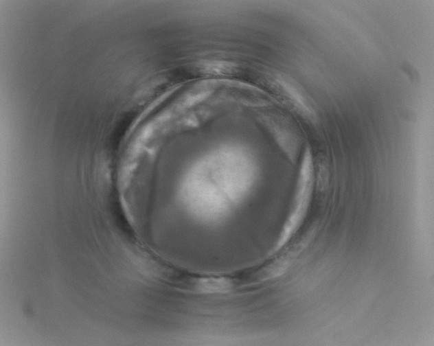 X0000115310363200911231334