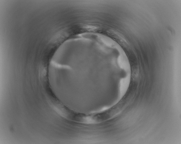 X0000115310365200911231334