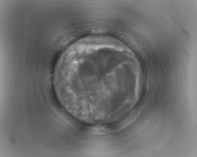 X0000115310366200911231334