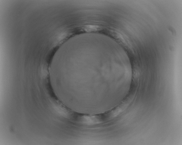 X0000115310367200911231334