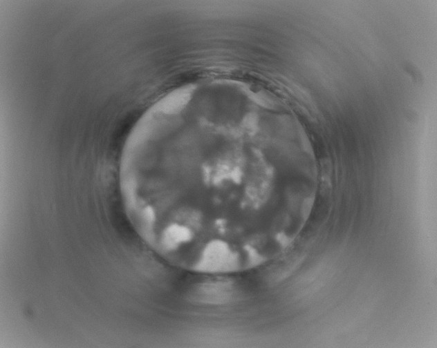 X0000115310369200911231334