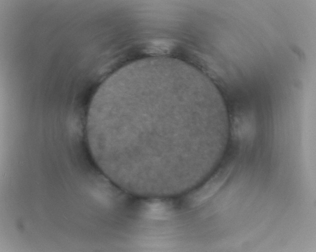 X0000115310370200911231334