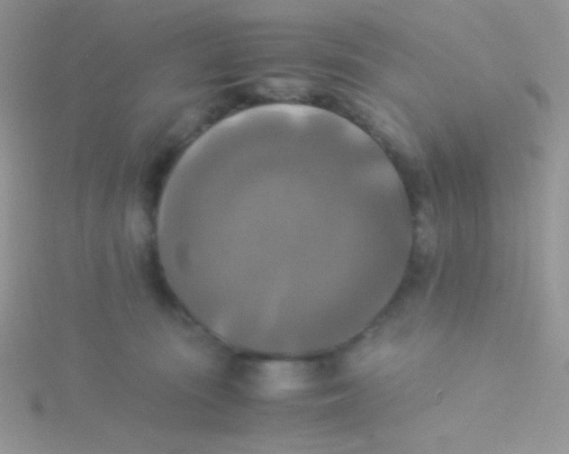 X0000115310371200911231334