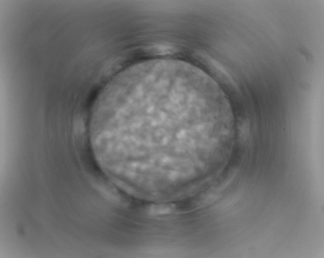 X0000115310373200911231334