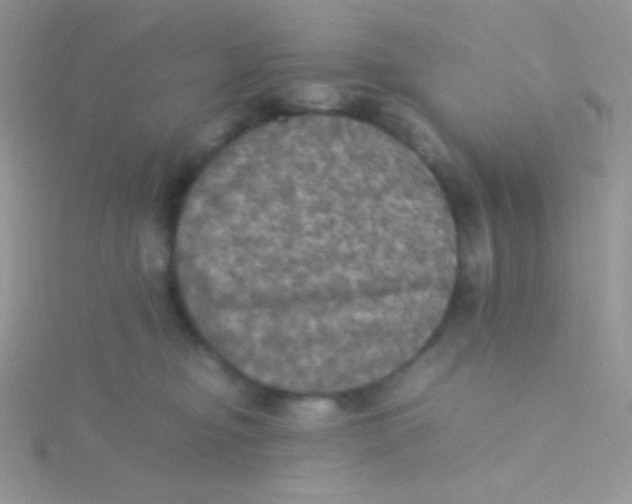 X0000115310374200911231335