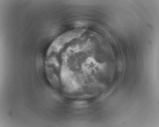 X0000115310375200911231335