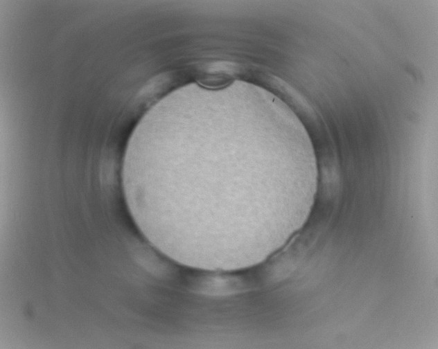 X0000115310379200911231335