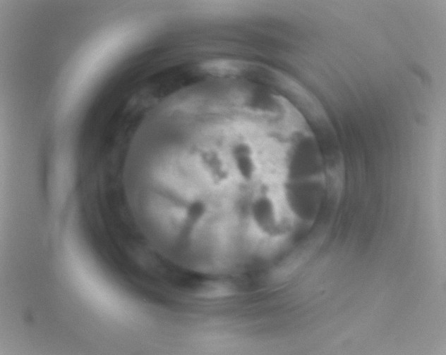 X0000115310381200911231335