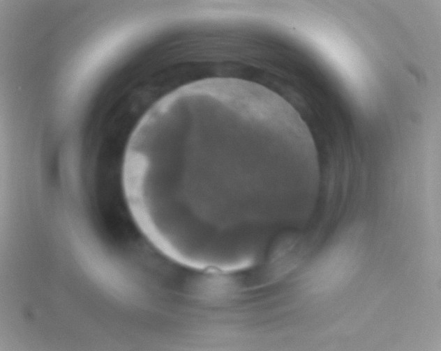 X0000115310383200911231335