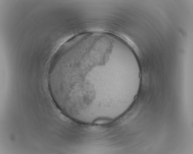 X0000115310385200911231334