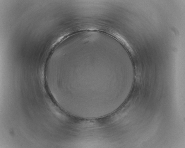 X0000115310386200911231334