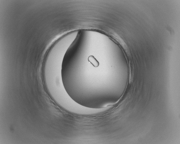 X0000115310387200911231334