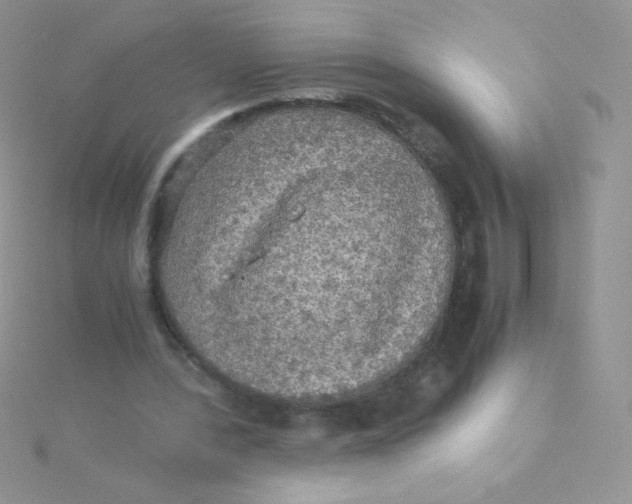 X0000115310388200911231334