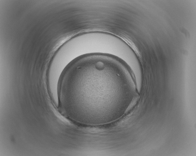 X0000115310389200911231334