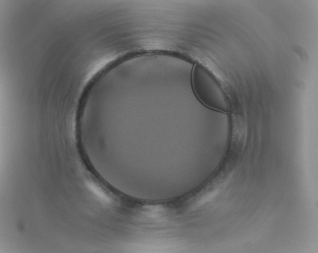 X0000115310391200911231334