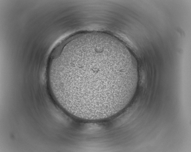 X0000115310392200911231334