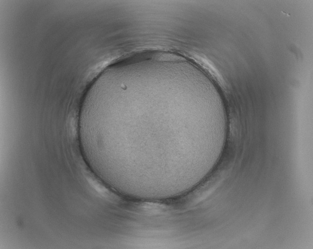 X0000115310393200911231334