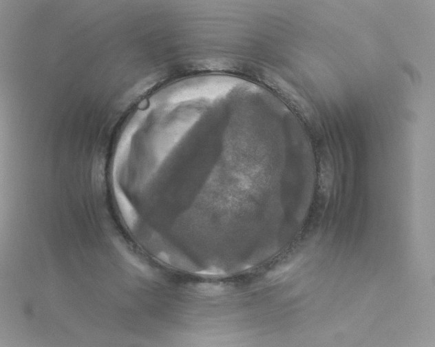 X0000115310394200911231334