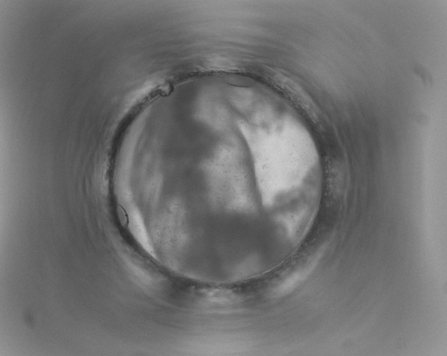 X0000115310395200911231334