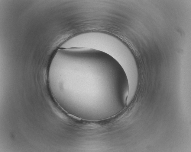 X0000115310397200911231334