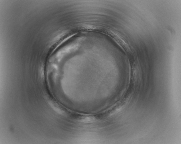 X0000115310398200911231334