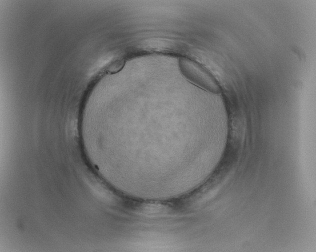 X0000115310399200911231334