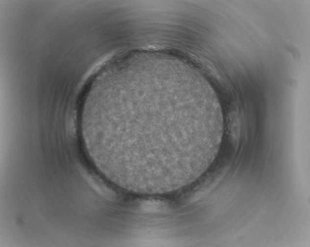 X0000115310400200911231333