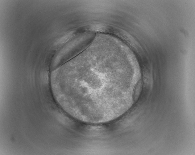 X0000115310401200911231333