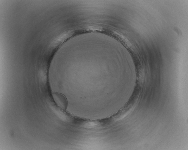 X0000115310402200911231333